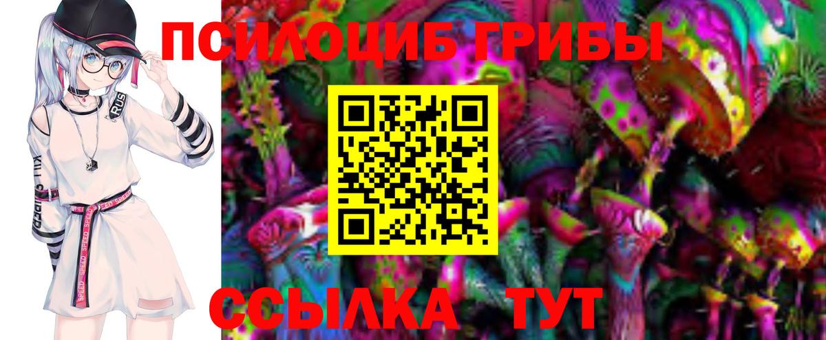 Краснознаменск  Галлюциногенные грибы Psilocybe  Вход с VPN  Псилоцибиновые грибы мухоморы 