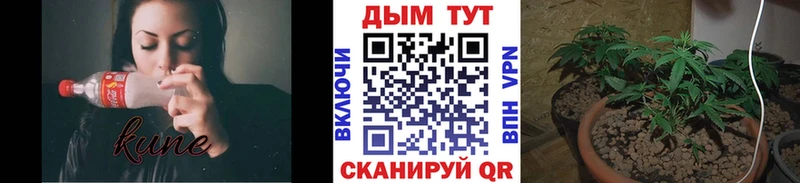 Канабис Bruce Banner  Краснознаменск 